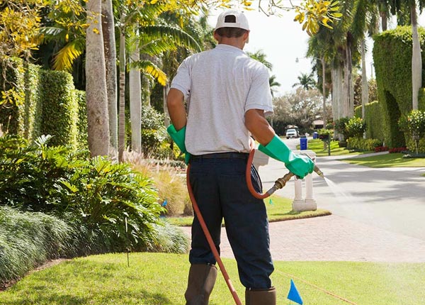 About Harpersville AL Pest Control Pros
